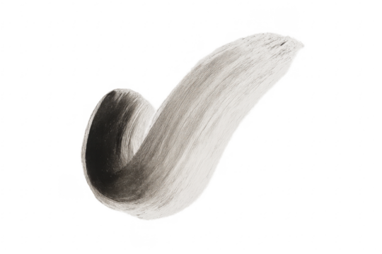 Silver paint stroke forming a check mark on transparent background