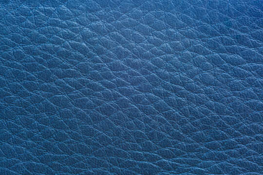 Blue Mako leather texture,Blue pebbled leather texture pattern as background.