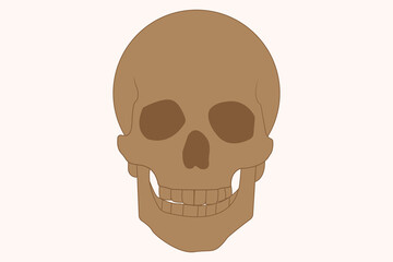 Simple brown human skull illustration viewed from the front on light background. eps 10