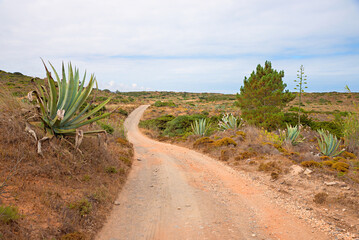dirt road through mediterranean dunes landscape Portugal