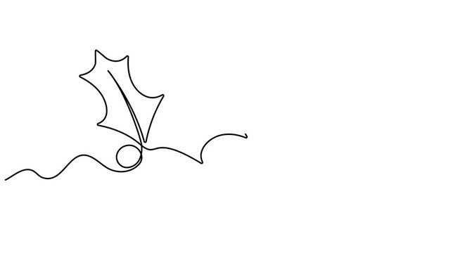 Video. Mistletoe holly drawing with one continuous line. Symbol for Christmas New Year greeting card. One continuous line art drawing animation. Animation on white background. 4K.