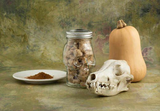 Raw Sugar Cubes in a Skull Jar and a Coyote Skull Next to a Pumpkin and Cinnamon