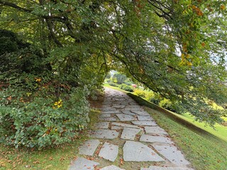 Tranquil Pathway Surrounded by Lush Greenery and Autumn Leaves