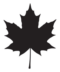 Collection of sneaker silhouettes in black