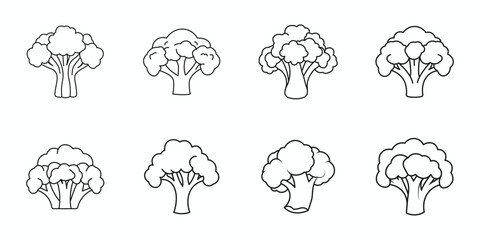 Collection of eight hand drawn broccoli florets fresh healthy food icons simple sketches