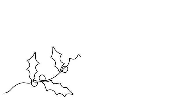 Video. Mistletoe holly drawing with one continuous line. Symbol for Christmas New Year greeting card. One continuous line art drawing animation. Animation on white background. 4K.