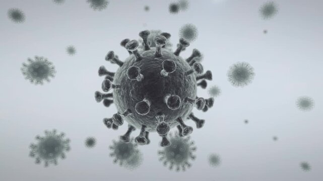 bacteria under microscope