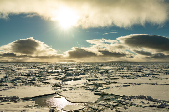 Sea ice in the Barents Sea near Franz Josef Land in summer 