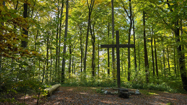 The wooden cross and benches for showing respect for the dead in the forest cemetery Friedwald in Germany in autumn day.