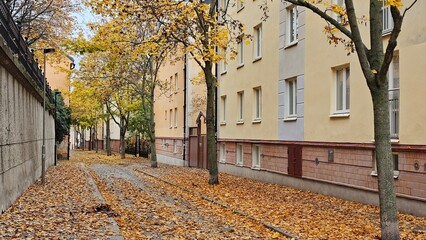 Streets and houses in the center of the old town in Stockholm, Sweden.