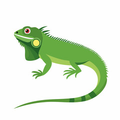 Fototapeta premium A bright green iguana stands on a plain white background, tail extended and eyes alert.