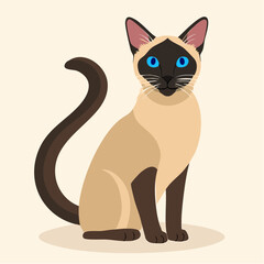 Obraz premium A regal Siamese cat sits upright on a plain cream background, tail curled and blue eyes focused forward.