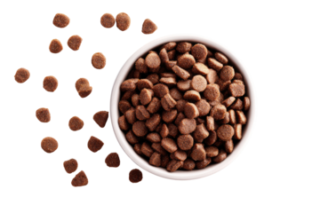 Small white bowl filled with dog food kibble, surrounded by scattered kibble