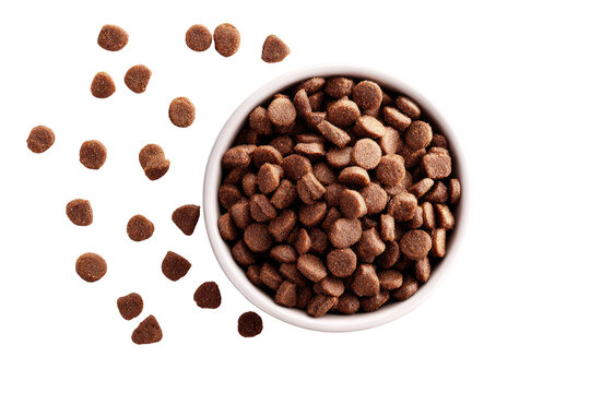 Small white bowl filled with dog food kibble, surrounded by scattered kibble