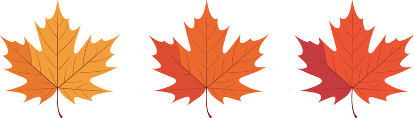 Autumn maple leaves illustration, seasonal foliage design, colorful fall artwork, nature background, red orange yellow leaves, botanical drawing, natural seasonal decoration