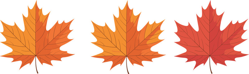 Autumn maple leaves, fall foliage colors, seasonal nature background, red orange yellow leaves, botanical texture, environmental change, vibrant leaf pattern