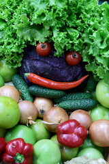 Fresh and appetizing vegetable presented at a agricultural products fair. Selective focus. Photographed in natural light.