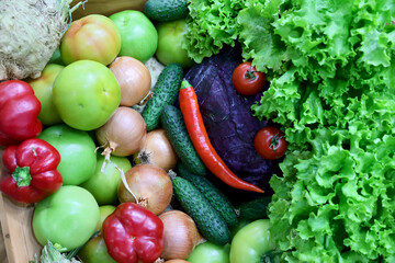 Fresh and appetizing vegetable presented at a agricultural products fair. Selective focus. Photographed in natural light.
