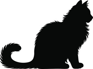 Fluffy cat side profile in black ideal for design projects silhouette on transparent background