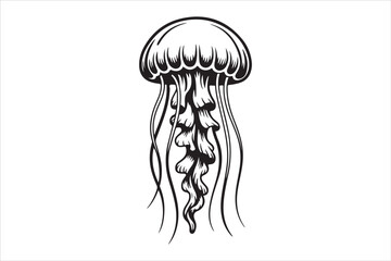 Hand Drawn Jellyfish Illustration  Black and White Marine Art