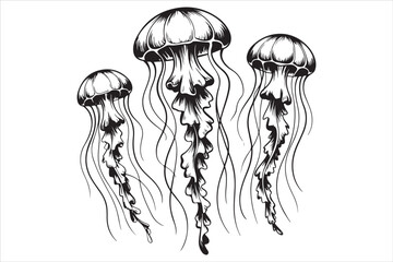 Hand Drawn Jellyfish Illustration  Black and White Marine Art