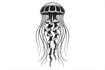 Hand Drawn Jellyfish Illustration  Black and White Marine Art