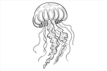 Hand Drawn Jellyfish Illustration  Black and White Marine Art