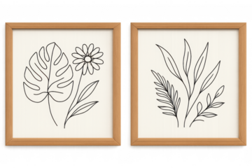 Framed line art botanical drawings with transparent background