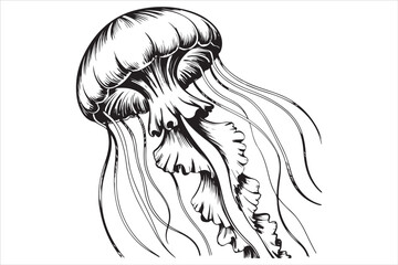 Hand Drawn Jellyfish Illustration  Black and White Marine Art