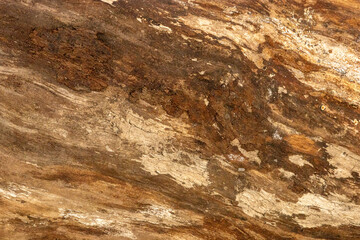 Close-up of natural wood texture with brown and beige tones. Detailed view of aged, weathered wooden surface.