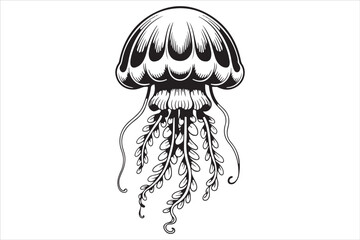 Hand Drawn Jellyfish Illustration  Black and White Marine Art