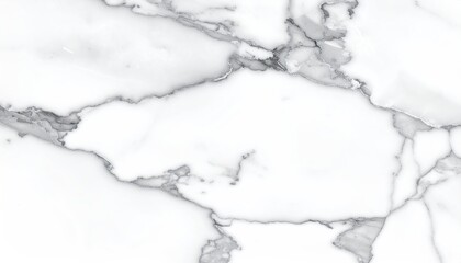 Obraz premium Elegant White Marble Texture With Gray Veins And Silver Accents Subtle Glittering Effect Studio Shot
