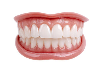 Obraz premium Close-up of a full set of healthy, white teeth and gums