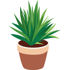 A Potted Green Plant with Long Pointed Leaves in a Brown Ceramic Pot with a Cream Rim Isolated on a White Background Ideal for Decorative Use