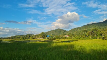 landscape with lake and mountains