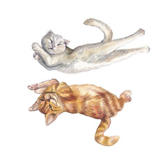 Various cats in different poses, hand-painted with delicate detail. Watercolor illustration. Perfect for pet brands, stationery, textile design, social media graphics, and home decor prints. 
