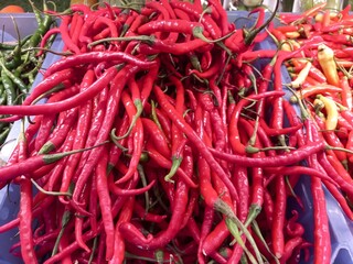 Red chilies displayed in a shop window, taken close up showing the details.