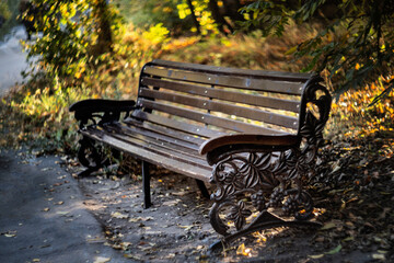 Old bench on autumn park, fall season