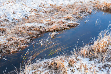The outflow of Olterudelva River from the Tjuvåstjernet Lake, part of the Totenåsen Hills, Norway, in October 2025.