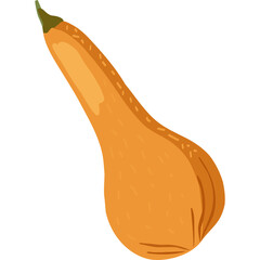 Detailed Illustration Of A Single Butternut Squash With A Green Stem And Orange Flesh Isolated On A Transparent White Background In A Realistic Style