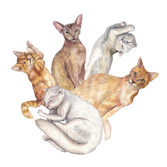 Various cats in different poses, hand-painted with delicate detail. Watercolor illustration. Perfect for pet brands, stationery, textile design, social media graphics, and home decor prints.