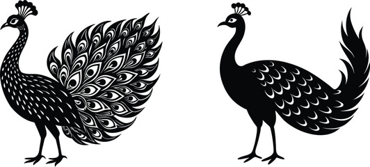 silhouette of a peacock,Minimal peacock bird vector silhouette...