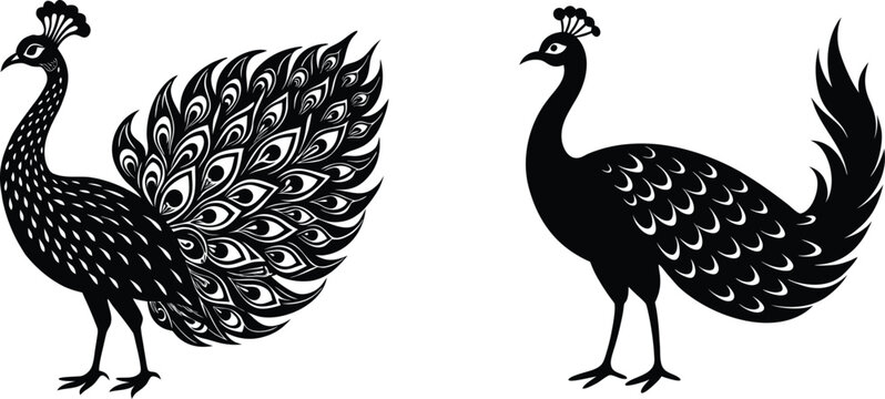 silhouette of a peacock,Minimal peacock bird vector silhouette...