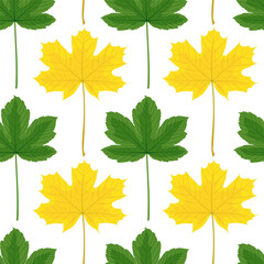 Autumn Maple Sycamore Tree Leaves Seamless Pattern