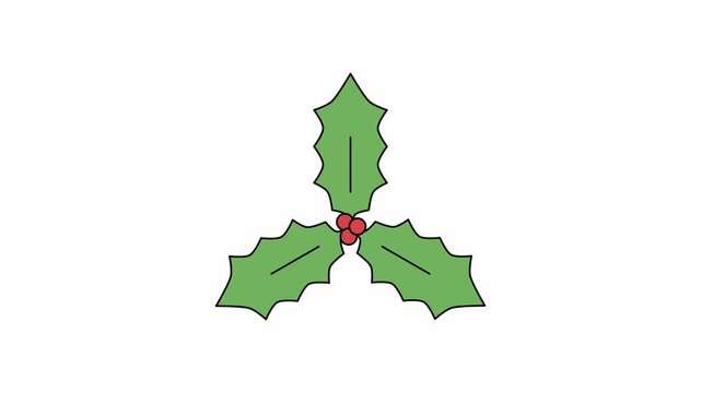 Holly leaves and red berries flat animation. Video clip with alpha channel.