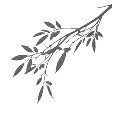 Leaves shadow and tree branch isolated on transparent background. Natural leaves tree branch dark shadow and light from sunlight dappled. Decorative Design Element for Presentations. Realistic

