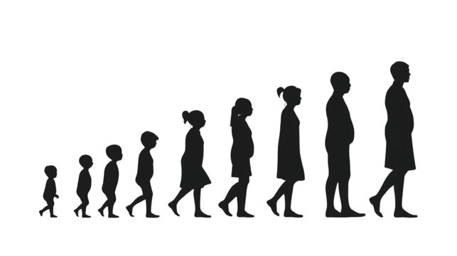 Human life cycle silhouette progression from infant to adult