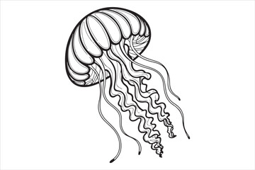Jellyfish Line Art Vector Illustration