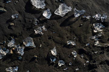 Obraz premium Glistening shards of ice rest on the dark, volcanic sand, a stark contrast.