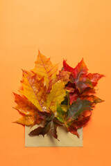 Autumn Leaves Piled On A Cream Envelope With Bright Background